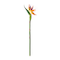 12 Pack: Yellow Bird of Paradise Stem by Ashland®